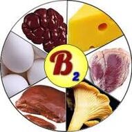 B2 B2 garunerako bitaminak